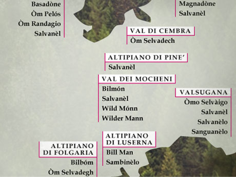 immagine Foches 3