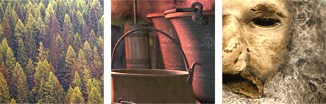 immagine Foches 8
