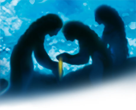 immagine Foches 14