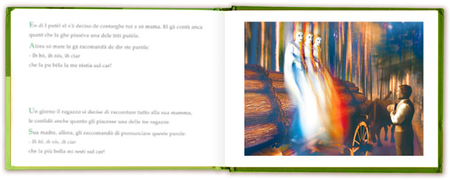 immagine Foches 20b